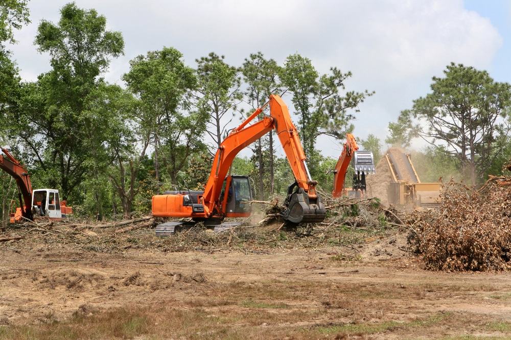 Bush clearing
